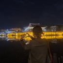 동궁과월지 주차장 화장실 | [공지] 경주 안압지 동궁과월지 야경 시간 입장료 주차장 꿀팁 후기