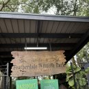 송잠마을경로당 | 13박15일 시드니+뉴질랜드 신혼여행 :: DAY3 페더데일동물원/블루마운틴/링컨스락/로라마을/바토티