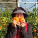 대운농장 이미지