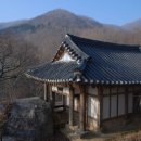 순천-25호 이미지