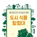 비단지음 이미지