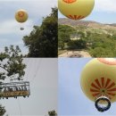 공원옆 동물병원 이미지