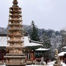 평창 월정사 팔각구층석탑 | 평창 월정사 전나무숲길 팔각구층석탑 겨울여행 강원도 유명 사찰