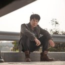 스텔라정