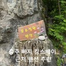 호수 정원 펜션 | 충주 빠지 킹스베이 근처 숙소 추천 호수정원 펜션 ♡