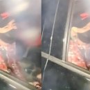 여우바라기 이미지