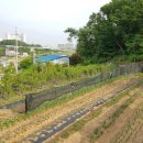 부곡농장2 이미지