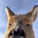 신천한솔의원 이미지