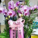 아침향기화원 이미지