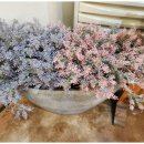 남해쭈꾸미 이미지