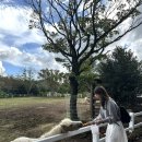 적점 이미지