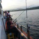 바다낚시펜션 이미지