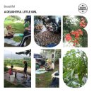 의술농장 이미지