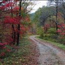 흥정계곡 409 이미지