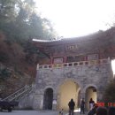 풍기인삼시장 이미지