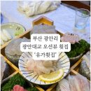 신선회