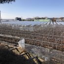 대부도 바닷가펜션 이미지