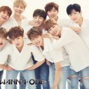 워너원 카카오 검색결과