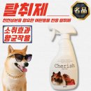 체리쉬 - 시흥시 매화마을1길 7 | 체리쉬