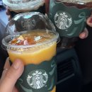 강생이네 | 강생이랑 제주도 여행기🐶🍊