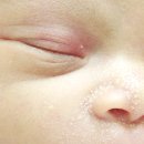 눈꽃피부과의원 이미지