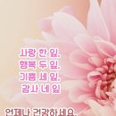 순리대로 이미지