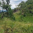 순정 태양광발전소 이미지