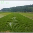 포항시남구61 이미지