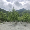 산솔캠핑장 이미지