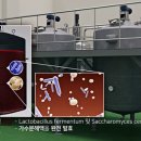 승리광고디자인
