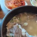 유가네 한우 소머리곰탕, 개미진 | 고흥 나로도 맛집, 유가네한우곰탕 나로우주점 한우소머리설렁탕 후기