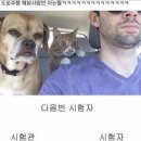 11500-6-62-102 | [운전면허#3] 운전면허 2종 자동 도로주행 삼수 합격후기(감점내용, 준비꿀팁)서울강서운전학원 후기