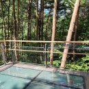 왕김밥 | 강원도 태백 아이와가볼만한곳 태백산하늘전망대 태백석탁박물관 왕김밥 입장료 주차 등 후기