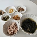 이레CCTV | BABY DAIRYㅣBABY 꼬야 D+22 정부지원 동작구 산후도우미 이레아이맘 이용 솔직후기