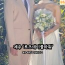 로즈데이 | 제주웨딩스냅 갓성비 꽃집추천💐 로즈데이플라워 7만원 부케 솔직후기(내돈내산)