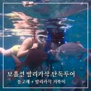 거북이 | 보홀션 발리카삭 단독호핑투어 거북이 스노클링 후기
