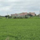 롯데쇼핑(주) 롯데아울렛 파주점 이미지