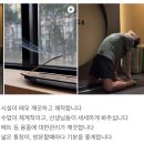 꿈에카센타 | [공지] 강남구청 요가, 바바요가 6월 시간표