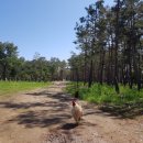 동해유정란농장 이미지