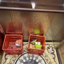 예빛유치원 이미지