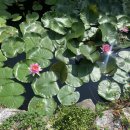 유상행정사사무소 이미지