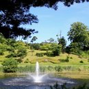 담양레이나컨트리클럽 이미지