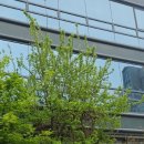 여의도순복음송파교회 이미지