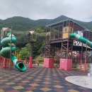 대봉산자연휴양림 | 대봉산 자연휴양림