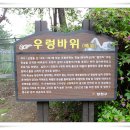매봉초등학교 이미지