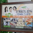 언니언니김밥 | 수원 인계동언니만두 바싹김밥 군만두 먹방후기