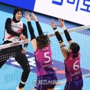 흥국생명 이미지