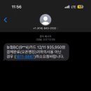 찌리릿 이미지