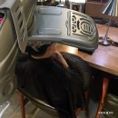 모두(MO DOO) 이미지