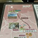 포토박 | [제주/조천] 제주도 11월 핑크뮬리 막차탑승 “새미동산”